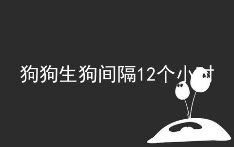 狗狗生狗间隔12个小时