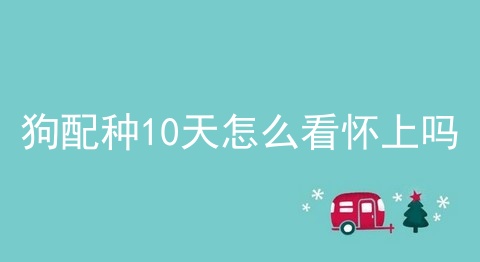 狗配种10天怎么看怀上吗