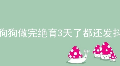 狗狗做完绝育3天了都还发抖