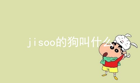 jisoo的狗叫什么