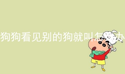 狗狗看见别的狗就叫怎么办