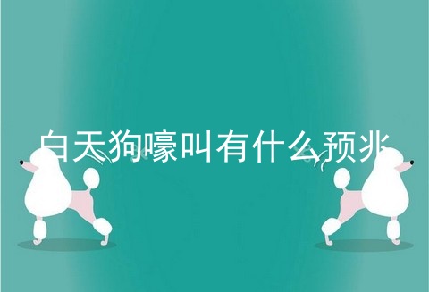 白天狗嚎叫有什么预兆 狗在晚上嚎叫预示什么 狗看见鬼有几种表现 宠伴网