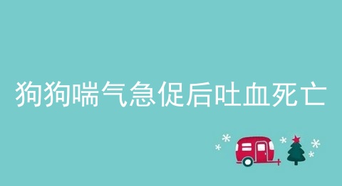 狗狗喘气急促后吐血死亡