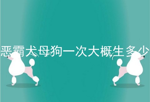 恶霸犬母狗一次大概生多少