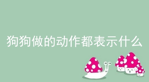 狗狗做的动作都表示什么