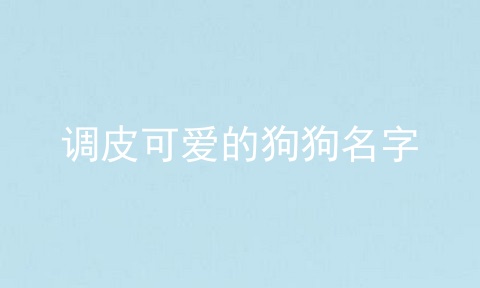 调皮可爱的狗狗名字