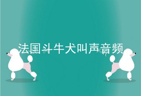 法国斗牛犬叫声音频