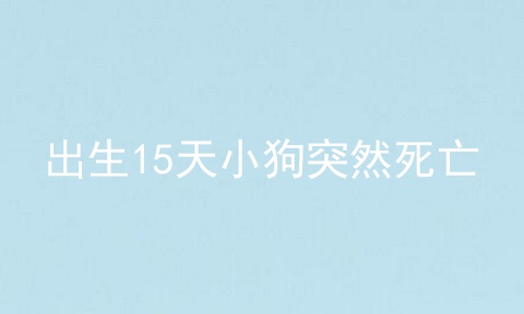 出生15天小狗突然死亡