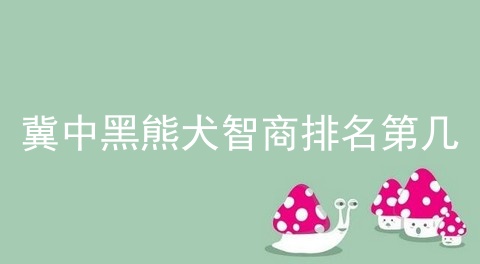 冀中黑熊犬智商排名第几