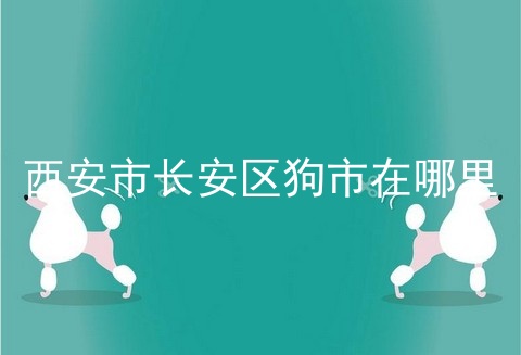 西安市长安区狗市在哪里