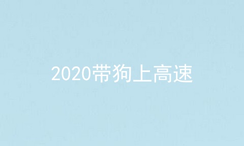 2020带狗上高速