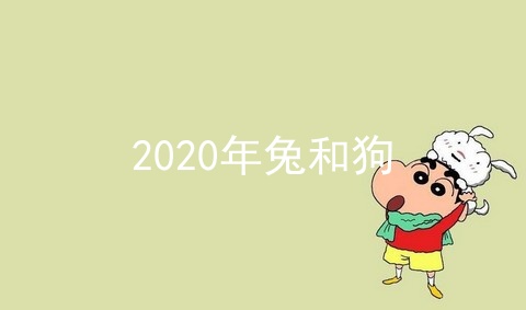 2020年兔和狗