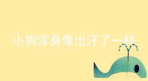 小狗浑身像出汗了一样