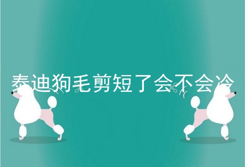 泰迪狗毛剪短了会不会冷