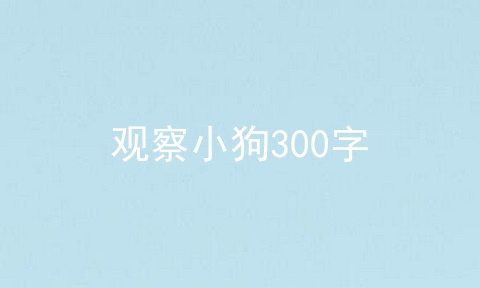 观察小狗300字