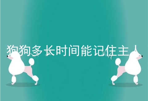 狗狗多长时间能记住主人