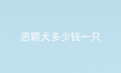 恶霸犬多少钱一只