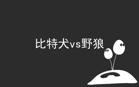 比特犬vs野狼