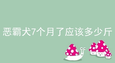 恶霸犬7个月了应该多少斤