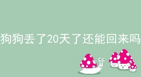 狗狗丢了20天了还能回来吗