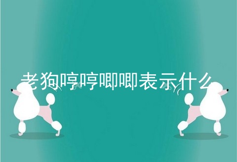 老狗哼哼唧唧表示什么