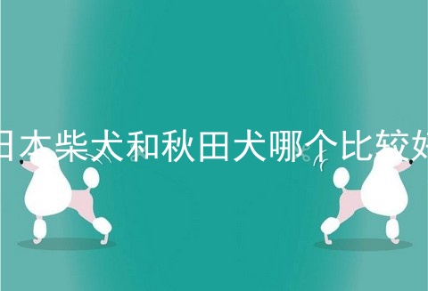 日本柴犬和秋田犬哪个比较好