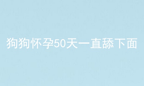 狗狗怀孕50天一直舔下面