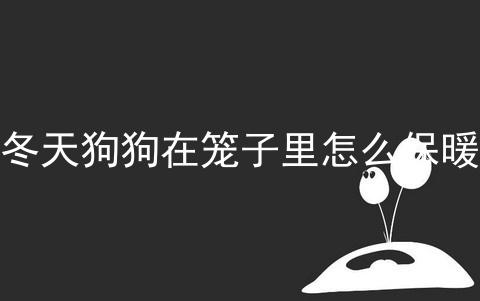 冬天狗狗在笼子里怎么保暖