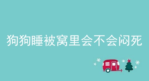 狗狗睡被窝里会不会闷死