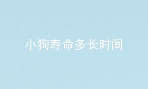 小狗寿命多长时间