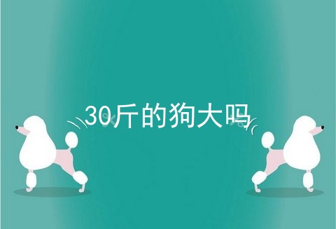 30斤的狗大吗