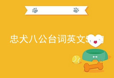 忠犬八公台词英文50句