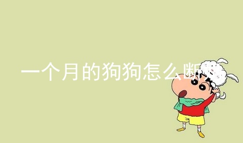 一个月的狗狗怎么断奶