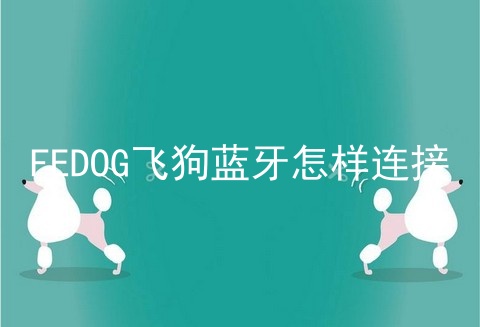 FEDOG飞狗蓝牙怎样连接