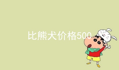 比熊犬价格500