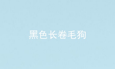 黑色长卷毛狗