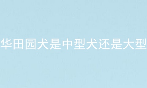 中华田园犬是中型犬还是大型犬 中华田园犬返祖现象 中华田园犬为什么禁养 宠伴网