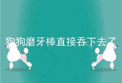 狗狗磨牙棒直接吞下去了