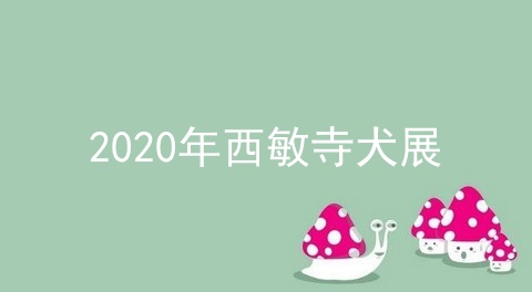 2020年西敏寺犬展