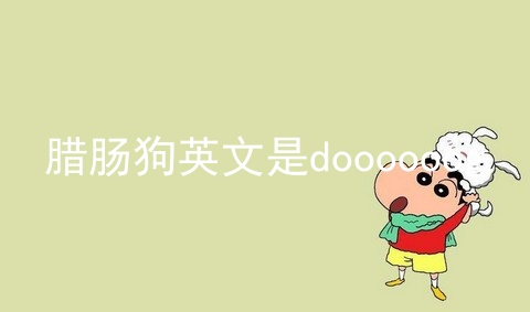 腊肠狗英文是doooooog