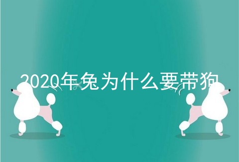 2020年兔为什么要带狗