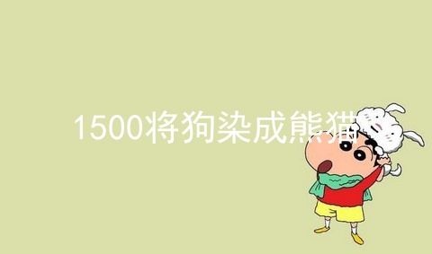 1500将狗染成熊猫