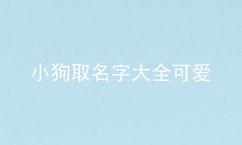 小狗取名字大全可爱