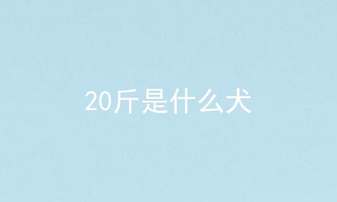 20斤是什么犬