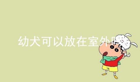 幼犬可以放在室外吗