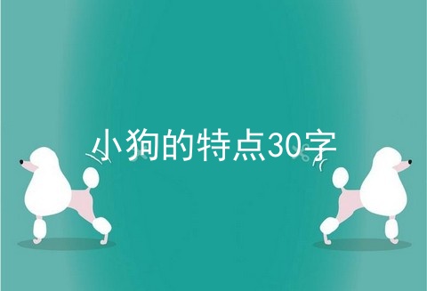 小狗的特点30字