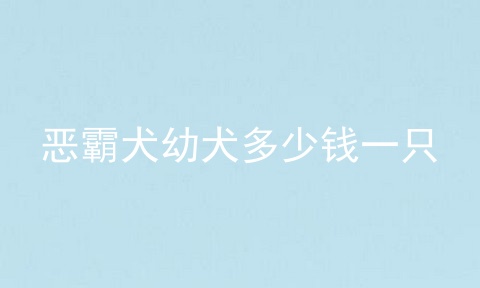 恶霸犬幼犬多少钱一只