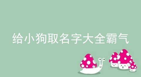 给小狗取名字大全霸气