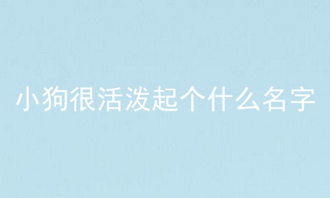 小狗很活泼起个什么名字