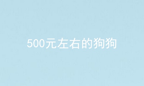 500元左右的狗狗